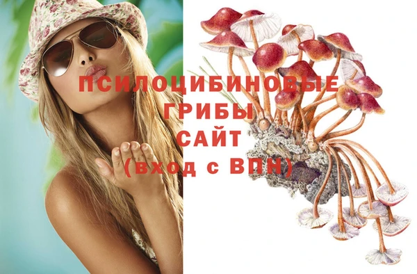 метамфетамин Богородицк