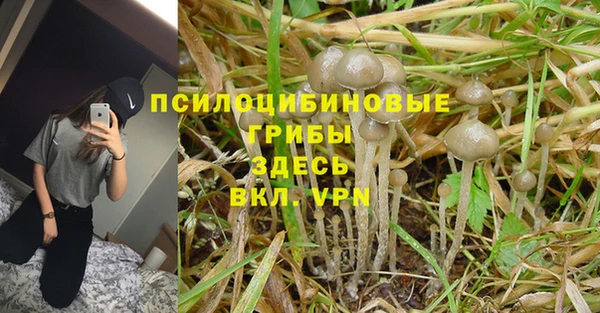 ALPHA PVP Беломорск