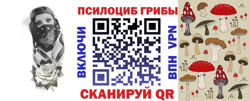 Галлюциногенные грибы Psilocybine cubensis закладки Кирсанов